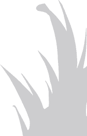 Foliage Right